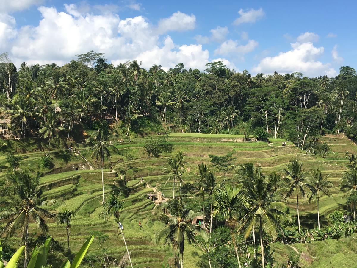 Villa Maha Ubud (Bali) Exterior photo